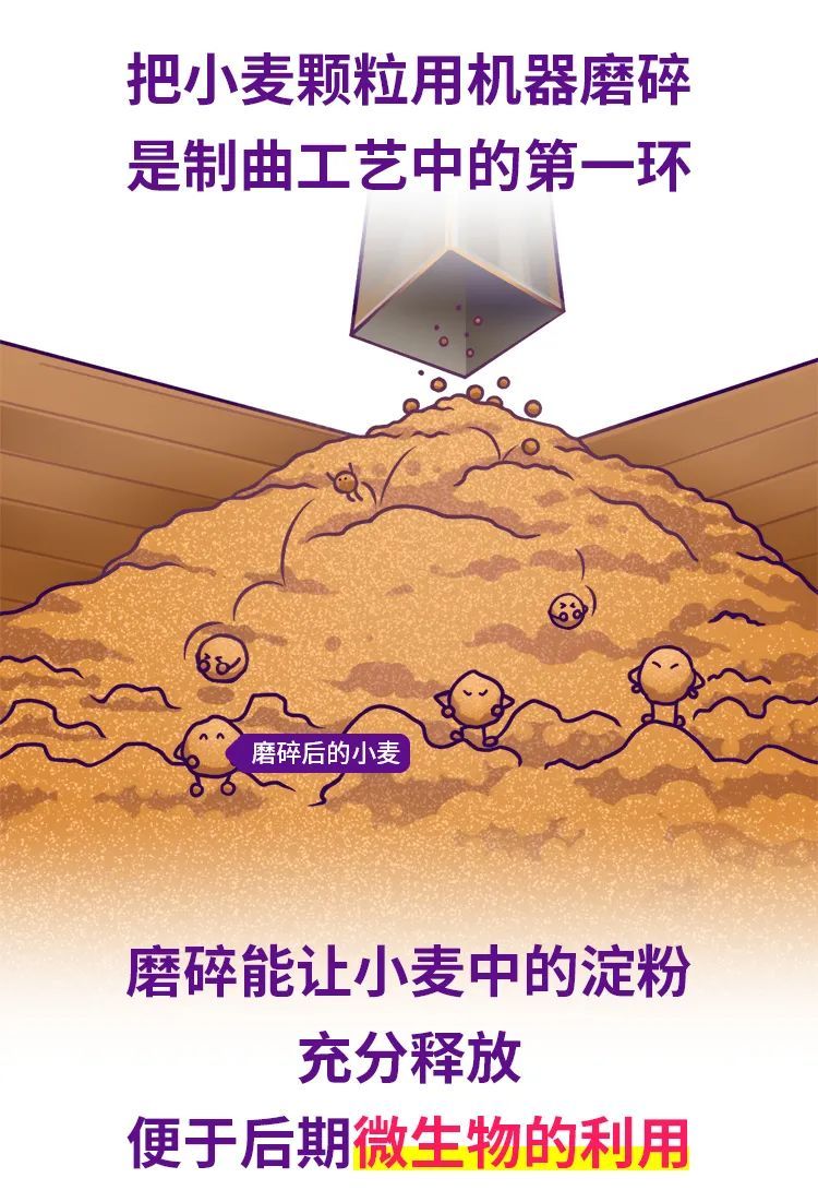 醬酒內行大師班-醬酒制曲